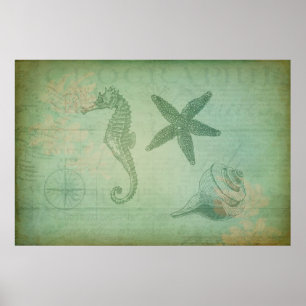 Poster Animaux vintages et coquillages d'océan