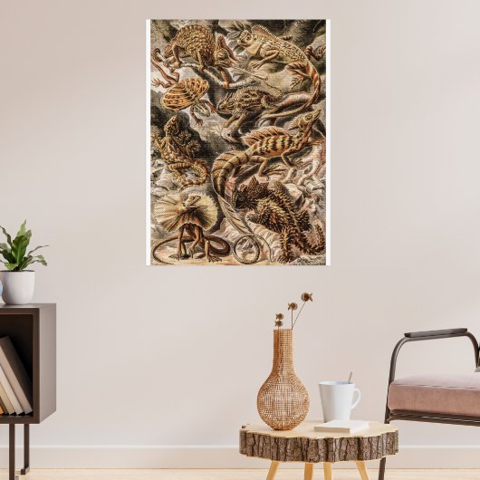 Poster Animaux vintages Lizard par Ernst Haeckel (Salon 3)