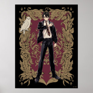 Poster Anime HARRY POTTER™ Cadre Orné