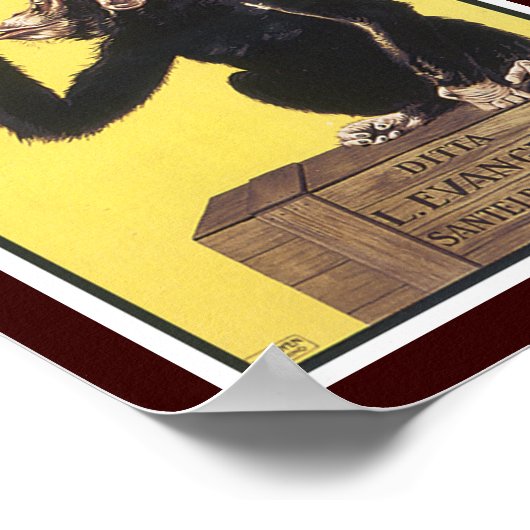 Poster Anisetta Evangelisti (Coin)