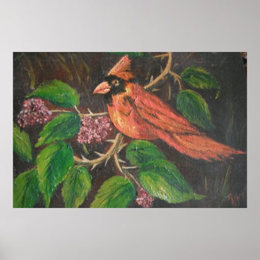 Poster Ann Hayes Peinture Cardinal (Devant)