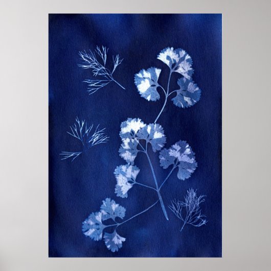 POSTER ANNA ATKINS (Devant)