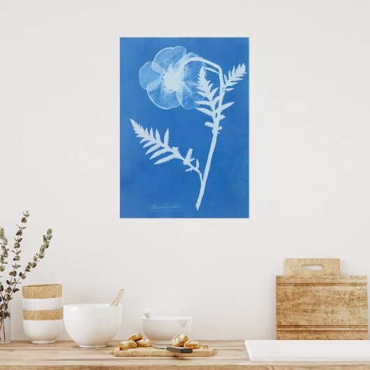 POSTER ANNA ATKINS (Cuisine)