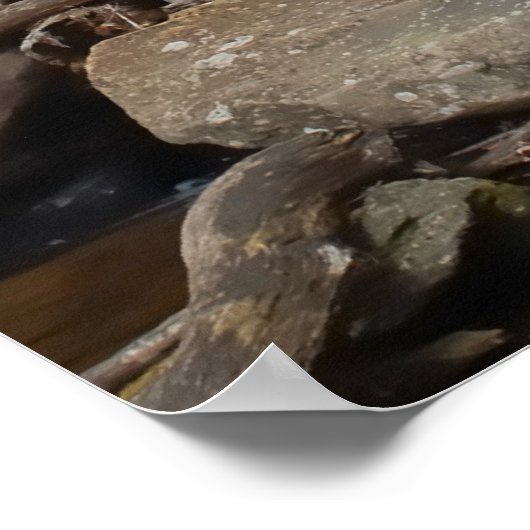 Poster Anna Ruby Falls Géorgie (Coin)