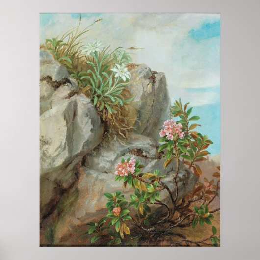 Poster Anna Stainer-Knittel Vintage Rose alpine (Devant)