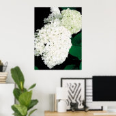 POSTER ANNABELLE HYDRANGEA (Bureau à domicile)
