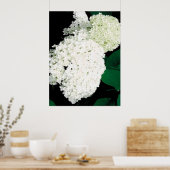POSTER ANNABELLE HYDRANGEA (Cuisine)