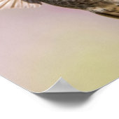 Poster Anna's Hummingbird Beautiful Pink, Purple & Green (Coin)