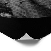 Poster Anne Roberts Daguerreotype 1857 (Coin)