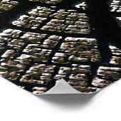 Poster Anneaux de croissance patinée Arbre Monument des r (Coin)