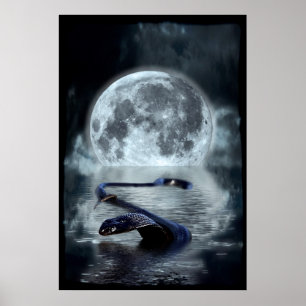 Poster Année chinoise du serpent d'eau Serpent noir