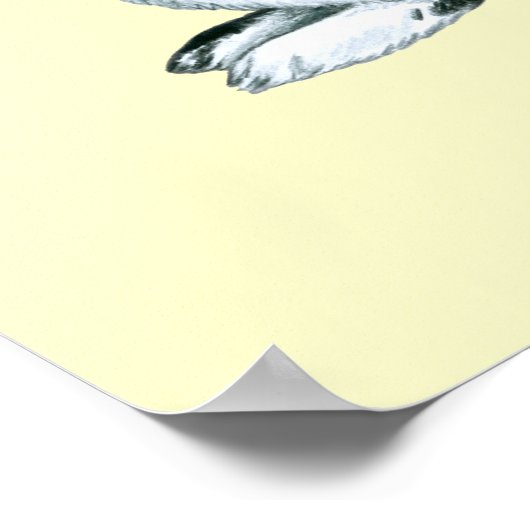 Poster Année de la chance Rabbit-good (Coin)