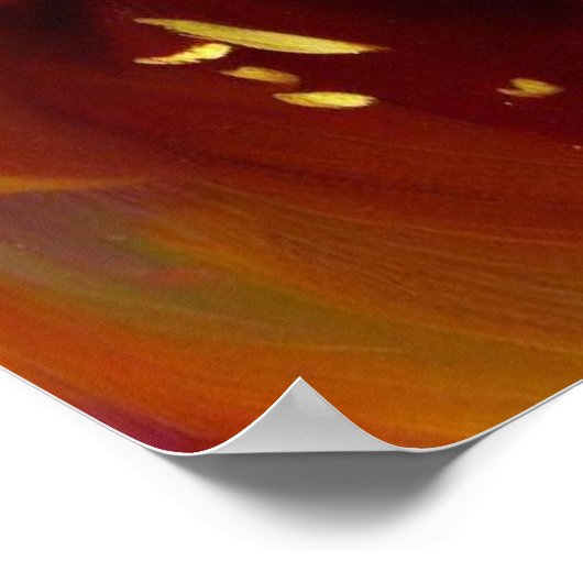 Poster Année du chien 7 (Coin)