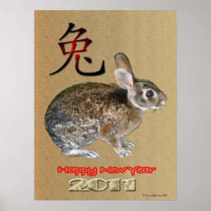 Poster Année du lapin 2011