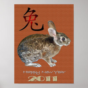 Poster Année du lapin 2011