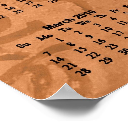 Poster Année du Tigre 2010 (Coin)