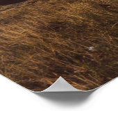 Poster Années 1940 Crop Duster Biplanes (Coin)