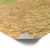 Poster Annie Oakley (Coin)