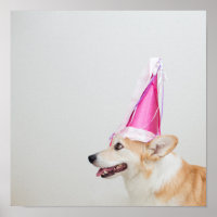 Anniversaire Pembroke Welsh Corgi Chien