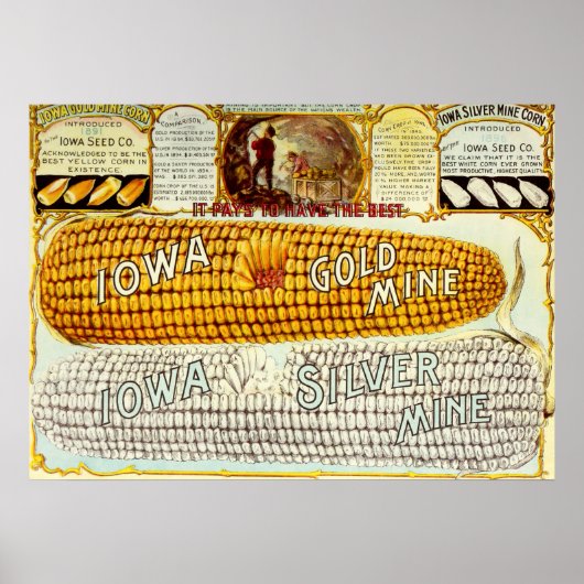 Poster Annonce vintage de maïs Iowa 1896 (Devant)