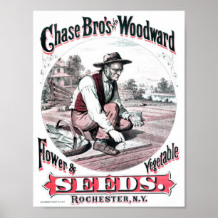 Poster Annonce vintage de semences