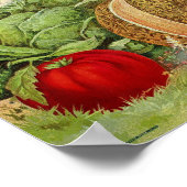 Poster Annonce vintage de semences (Coin)