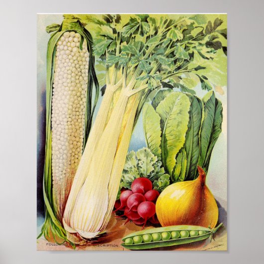 Poster Annonce vintage de semences (Devant)