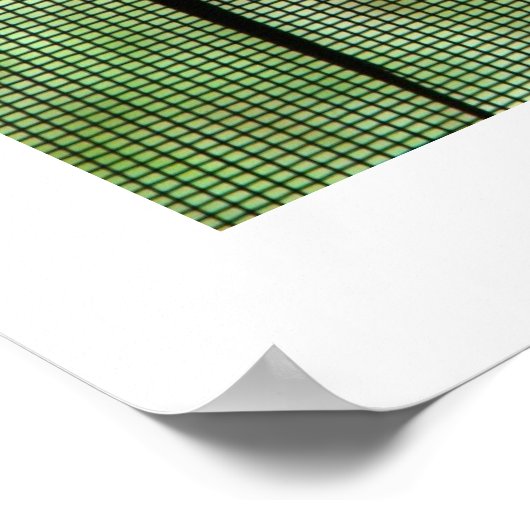 Poster Anole double (Coin)