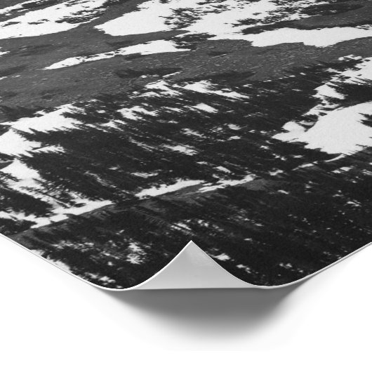 Poster Ansel Adams (Coin)