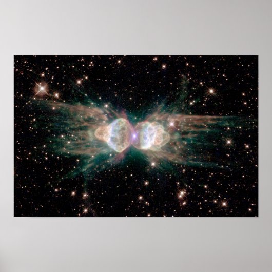 Poster Ant Nebula (Devant)