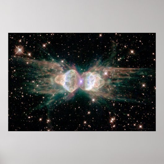 Poster Ant Nebula 30x20 (27x18) (Devant)