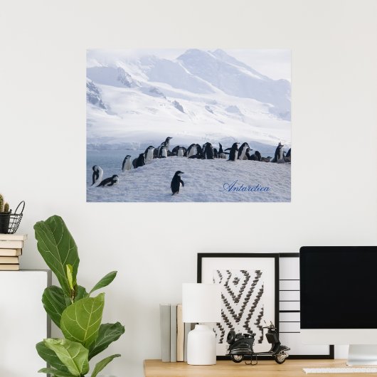 Poster Antarctique (Bureau à domicile)