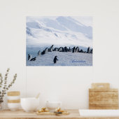 Poster Antarctique (Cuisine)
