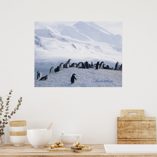 Poster Antarctique (Cuisine)