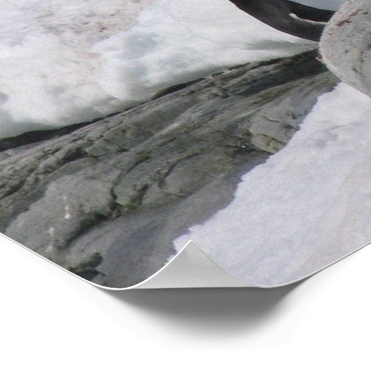 Poster Antarctique (Coin)