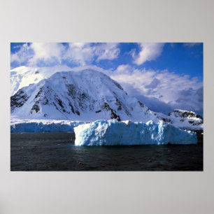 Poster Antarctique