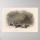 Poster Antarctique 4 (Devant)