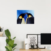 Poster Antarctique, Empereur Penguin (Aptérodytes 2 (Bureau à domicile)