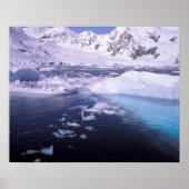 Poster Antarctique. Expédition à travers des échappées de (Devant)