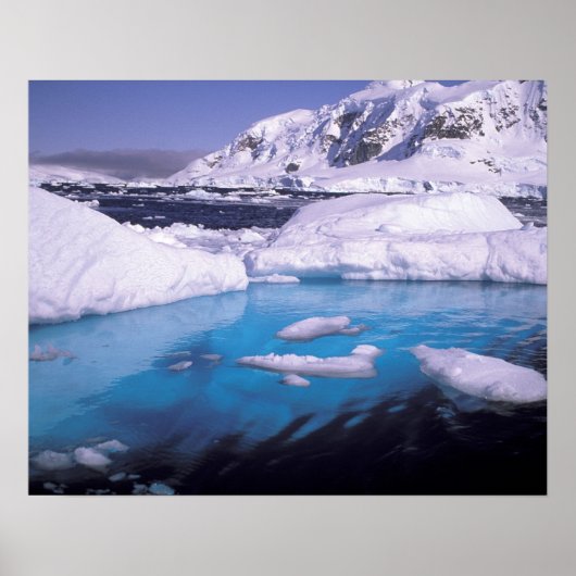 Poster Antarctique. Expédition à travers les échappées de (Devant)