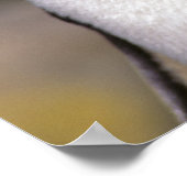 Poster Antarctique, îles sub-antarctiques, Sud 5 (Coin)