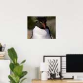 Poster Antarctique, îles subantarctiques, Sud 5 (Bureau à domicile)