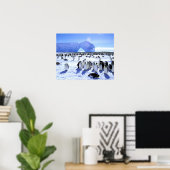 Poster Antarctique, péninsule Antarctique, mer de Weddell (Bureau à domicile)