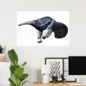 Poster Anteater géant isolé marche Carte postale T-shirt (Bureau à domicile)