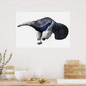 Poster Anteater géant isolé marche Carte postale T-shirt (Cuisine)