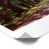 Poster Antebellum (Coin)