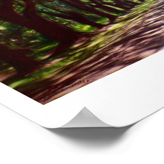 Poster Antebellum (Coin)