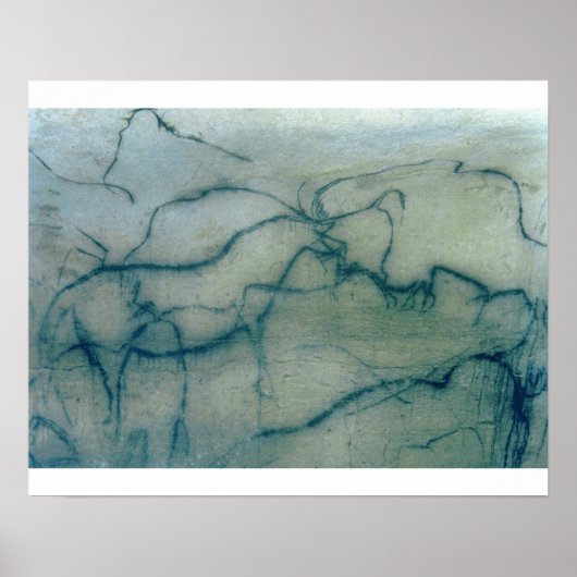 Poster Antelope and bison, perigordian (Devant)