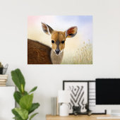 Poster Antelope Bushbuck Young African Deer Drawing (Bureau à domicile)