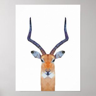 Poster Antelope Gasele